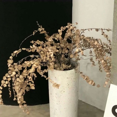 Furry插画构图解析福瑞交流群